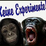 experimente