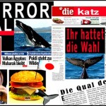 Qual der Wale
