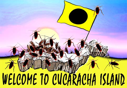 cucaracha
