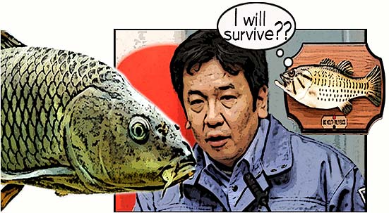 fukushima_fisch