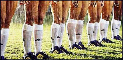frauenfussball