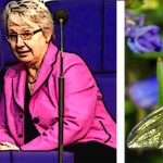 Anette Shavan soll als Ministerin zurücktreten. Dr. Titel entzogen.