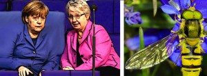 merkel_shavan_mimikry Anette Shavan soll als Ministerin zurücktreten. Dr. Titel entzogen.